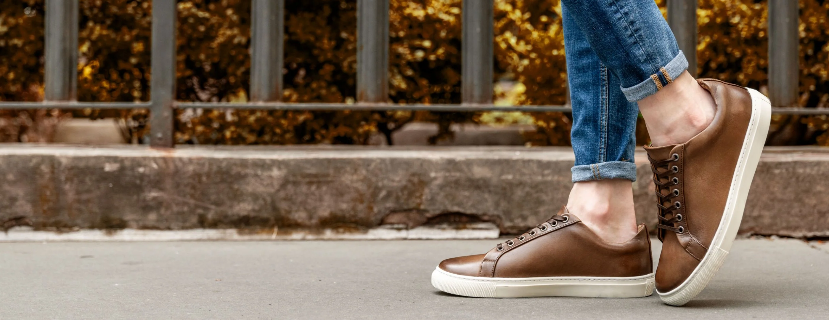 Premier Low Top