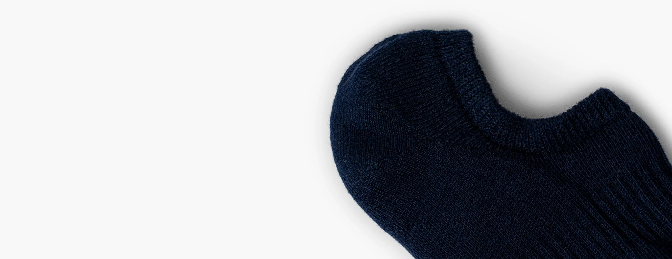 The Classic No Show Sock