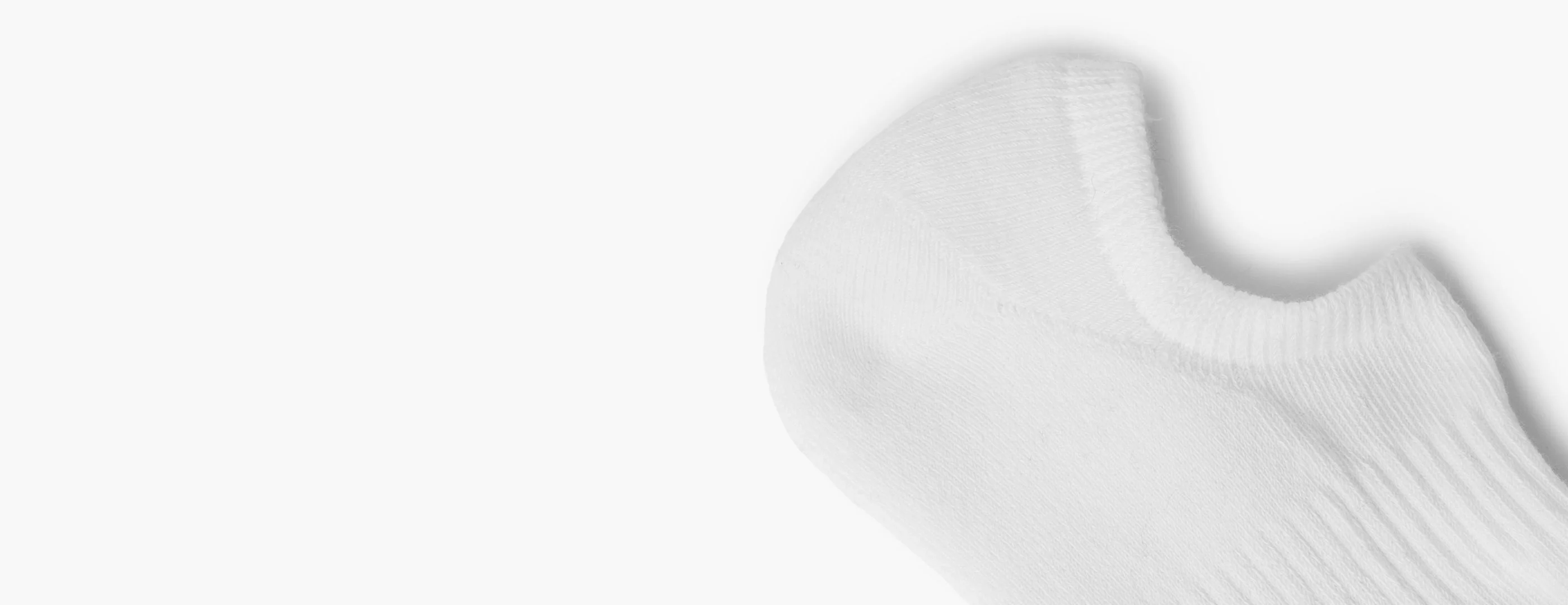 The Classic No Show Sock