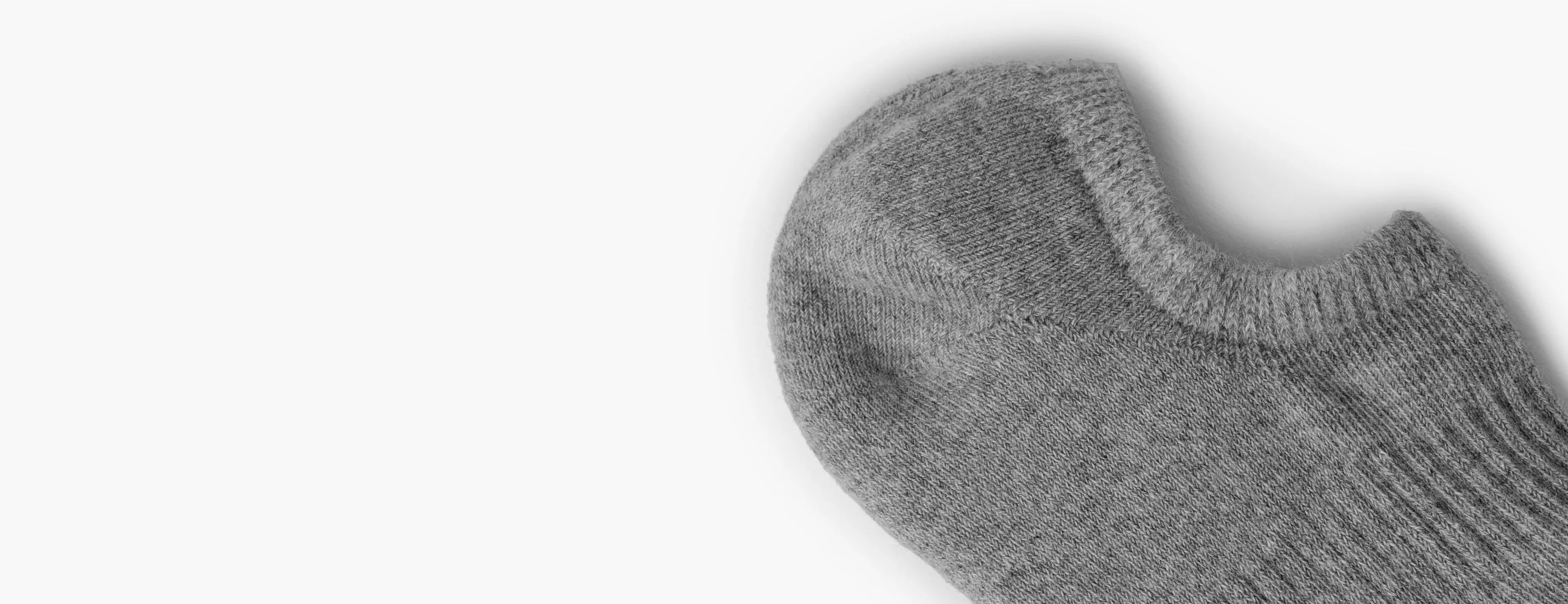 The Classic No Show Sock