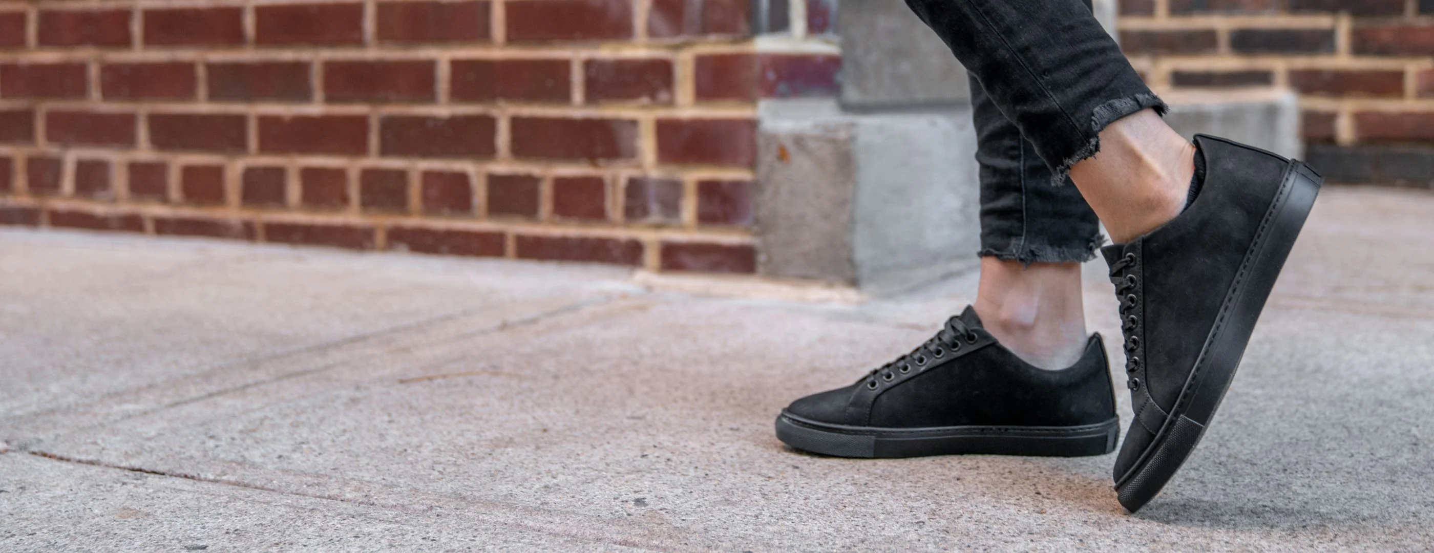 Premier Low Top