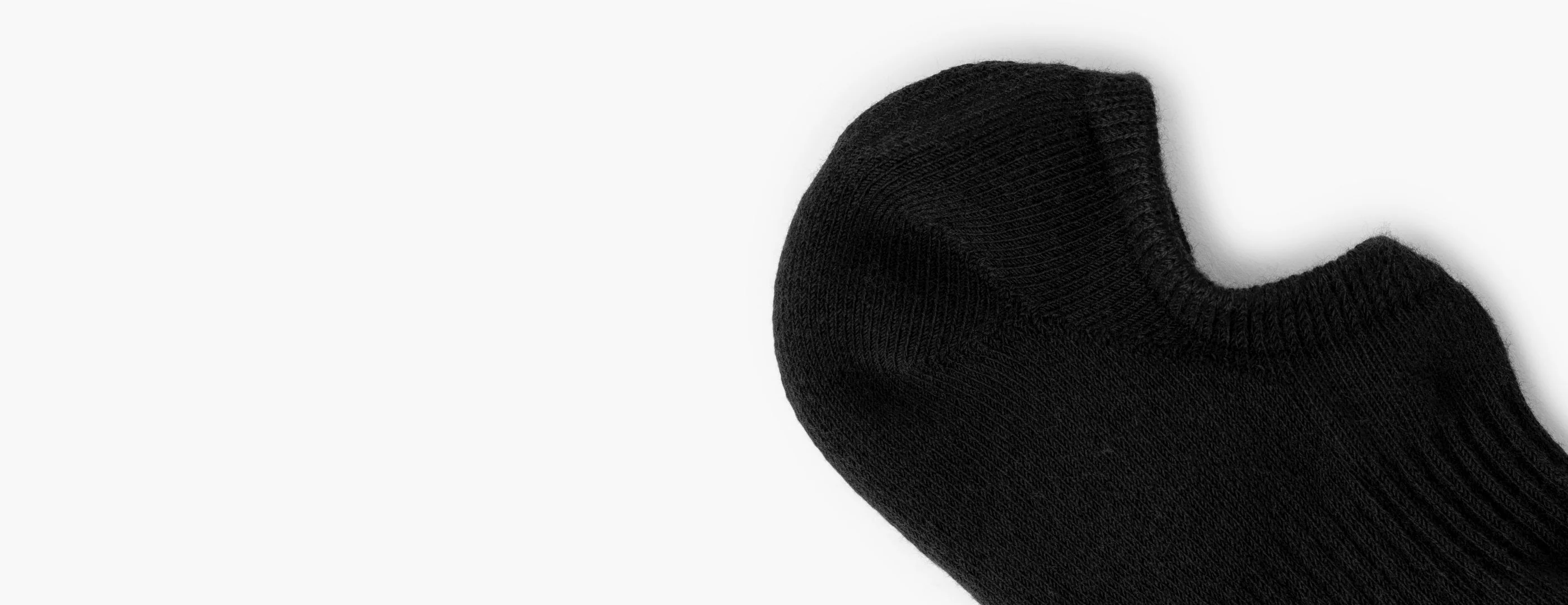 The Classic No Show Sock